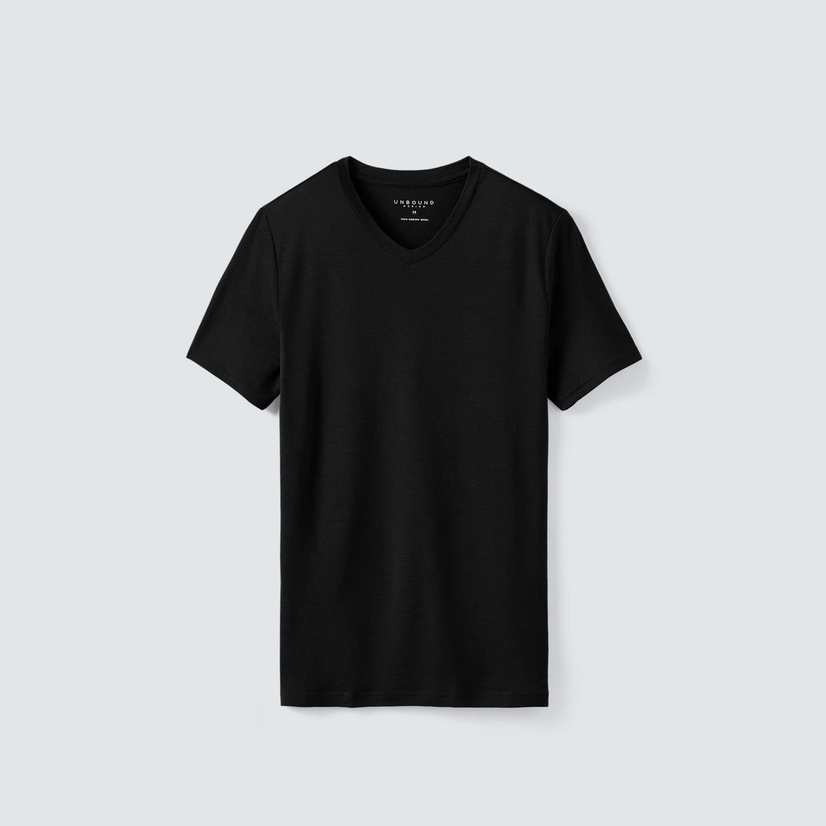 Men's Tall Merino V-Neck T-Shirt